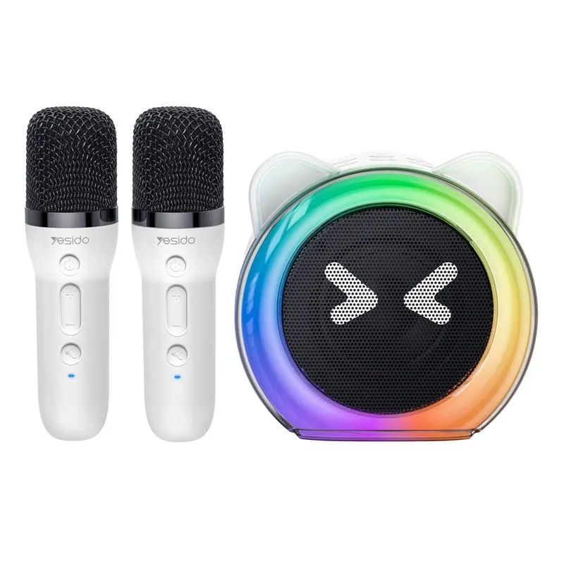 YSW36 Enceinte Karaoké Bluetooth 5W avec 2 Microphones – YESIDO